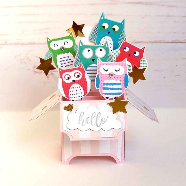 Upcycled Owl Greeting Card, 3D Pop-Up Box Card