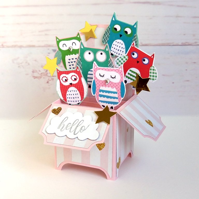 Upcycled Owl Greeting Card, 3D Pop-Up Box Card