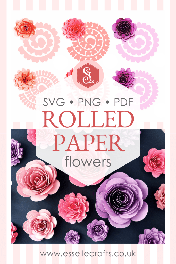A colourful display of pink and lilac 3D rolled paper flowers of different sizes on a dark grey background with their spiral templates above