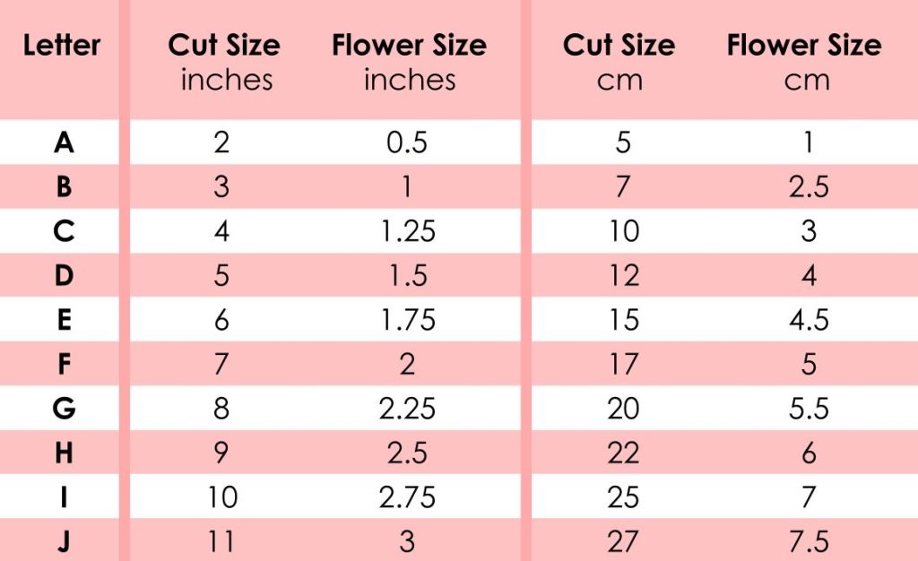 A chart showing the different sizes of rolled paper flowers that can be made from different sized templates