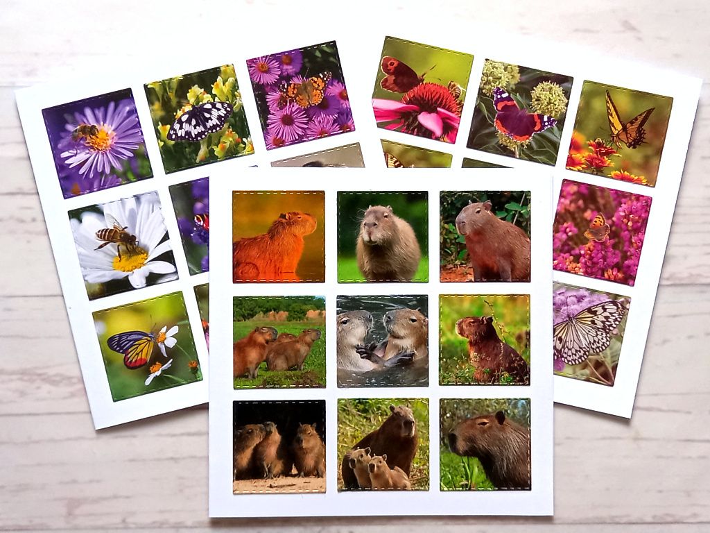 Three handmade nature greeting cards made from upcycled wall calendar images.