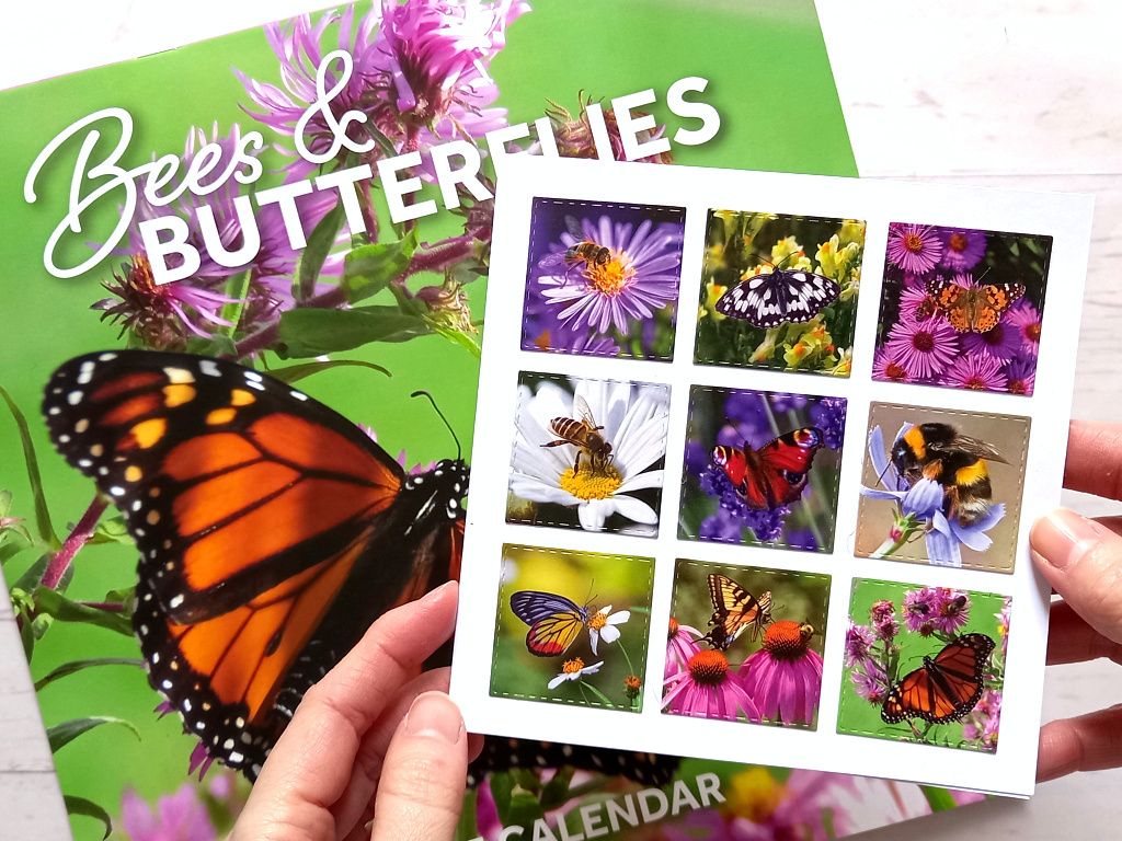 A handmade butterflies and bees greeting card made from upcycled wall calendar images.